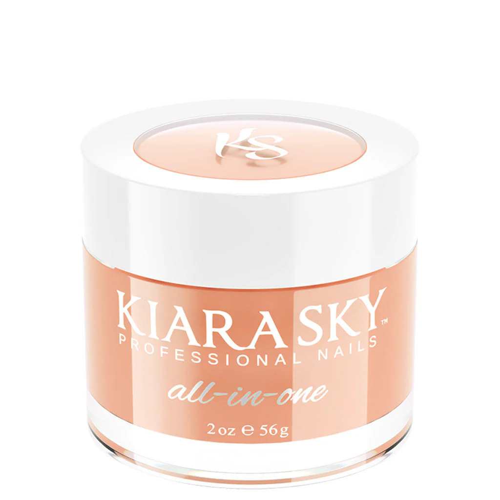 All In One Powder - D5005 The Perfect Nude 48g (1.7oz)