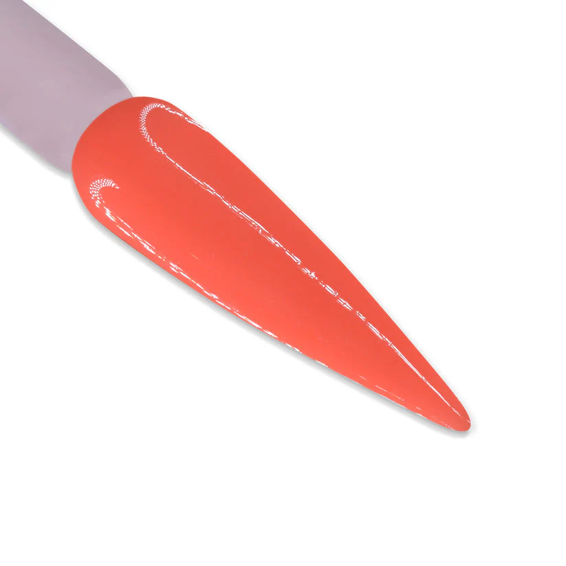DD Duo -  DD029 Coral Blaze - Image 2