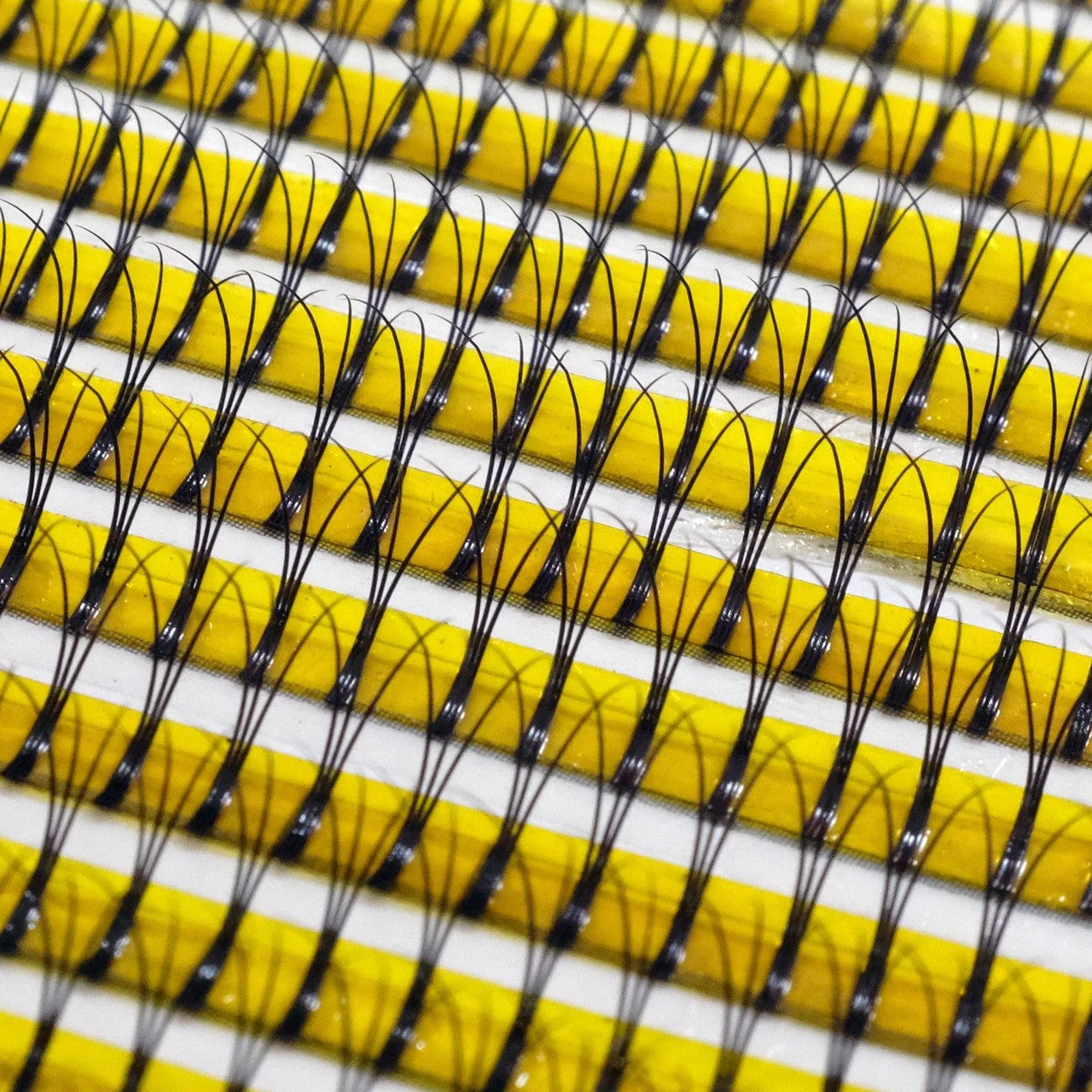 Premium Eyelashes 3D